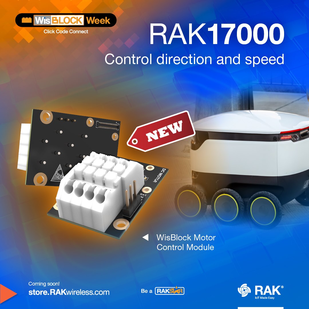Módulo de control de motores Texas Instruments DRV8833 RAK17000
