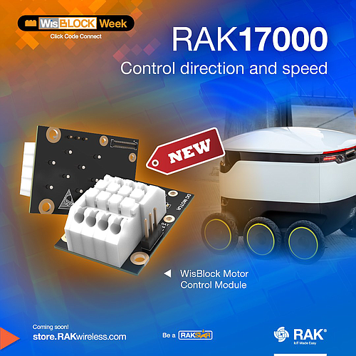 Módulo de control de motores Texas Instruments DRV8833 RAK17000